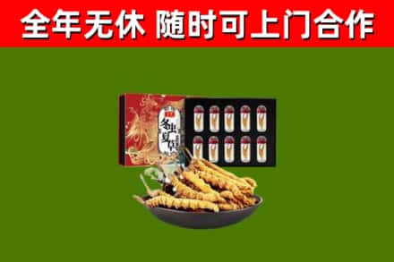 兰西回收冬虫夏草价格